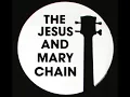Snakedriver - The Jesus And Mary Chain