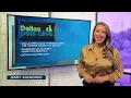 Dallas Pets Alive is merging with the Humane Society