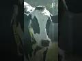 US Mysterious Case Of Six Mutilated Dead Cows In Texas