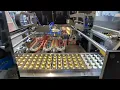 Lagu SKP-6 Lanes Nespresso Compatible Aluminum Capsules Filling Sealing Stick Box Cartoning Packing Line