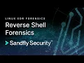 Linux EDR Reverse Shell Detection Investigation and Forensics