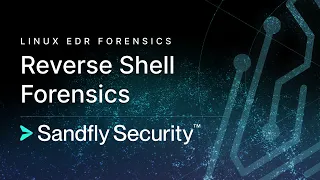 Linux EDR Reverse Shell Detection Investigation and Forensics