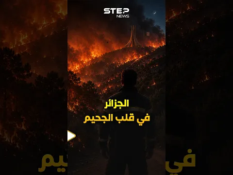#الجزائر تحترق وسيناريو 2021 يعود.. لماذا تحولت الغابات إلى مخزن بارود مفتوح؟