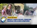 Download Lagu [HEADLINE NEWS 11/07]  - Viral! Warga Polewali Tangkap Pencuri Kakao