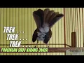 Download Lagu SUARA KRETEKAN SRDC JANTAN MEMANCING GACOR 3MOSI L4W4N - sikatan rimba dada coklat
