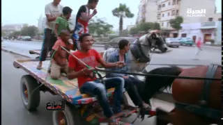 20 ألف عربجي في القاهرة هوايتهم سباق الكارو 