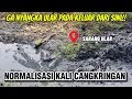 Download Lagu AKHIRNYA PENUNGGU KALI KELUAR!! SARANG ULAR DIACAK EXCAVATOR BANTARAN KALI CANGKRINGAN #dedimulyadi