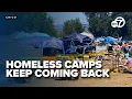 Chico California grapples with persistent homeless camps despite cleanup efforts