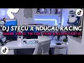 Download Lagu DJ STECU X NDUGAL RACING