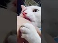 Download Lagu so cute 🥰🥺 #mueza #cute #shots #viral #trending #funwithmueza