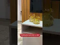 Vídeo do produto