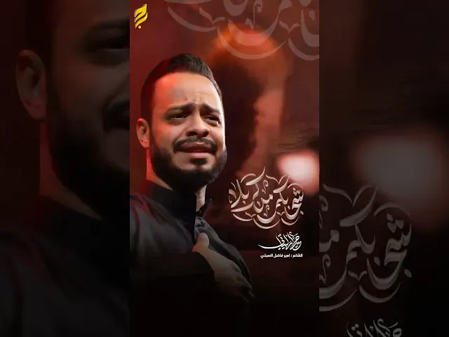 ⁣يا أبو فاضل يا حبيبي || استشهاد السيدة زينب ع #حيدر_البياتي