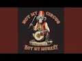 Lagu Not my Circus, Not my Monkey
