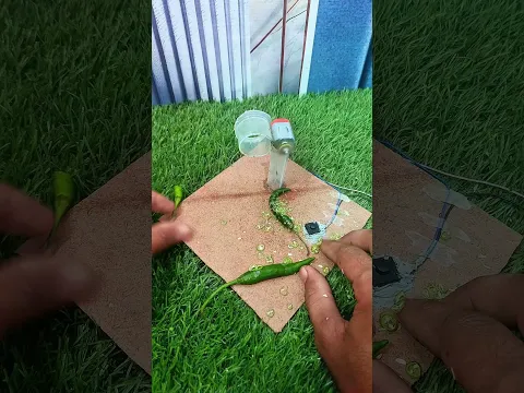 Diy Chilli Chopper ✨⚡. #experiment #cuttingasmr #satisfying #diy