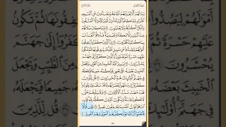 القرآن الكريم سورة الأنفال من الايه الكريمه 34 إلى الآية الكريمة 45 محمد ايوب 