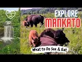 Best Things to Do in Mankato MN Day Trip Guide