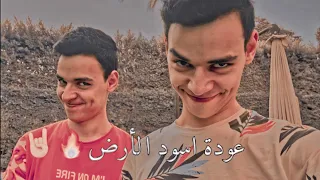 عودة اسود الأرض       التوينز دندنها