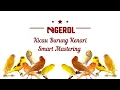 Download Lagu Kicau Burung Kenari Smart Mastering