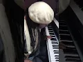 Something We Can Make Love To- Eric Benet & Tamar Braxton--BET Weekend -2024  ( 2nd keys cover )