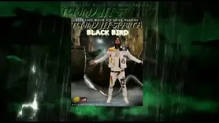 tommy lee sparta black bird free shawn storm