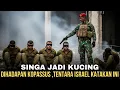 Download Lagu MEREKA AKUI SEMUANYA !!! TENTARA ISRAEL KETAKUTAN SETELAH KOPASSUS LAKUKAN INI ...