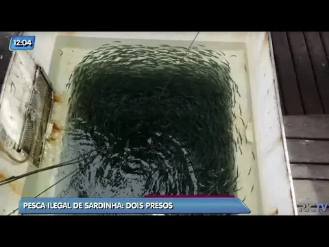 Dois homens são presos em flagrante por pesca ilegal de sardinha, em Florianópolis