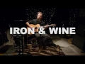 Iron & Wine - Tree By The River (Live on KEXP)