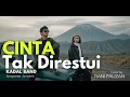 Lagu CINTA TAK DIRESTUI - Kadal Band (Cover Rani Fauzan) bikin Mernding