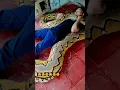 Cute snake sleeping