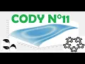 Cody N 11 Back and Forth Rows MATLAB
