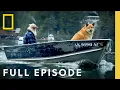Download Lagu Man vs. Nature (Full Episode) | Port Protection Alaska | National Geographic