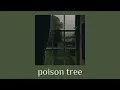 grouper - poison tree (instrumental) // slowed + reverb
