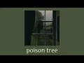 Download Lagu grouper - poison tree (instrumental) // slowed + reverb