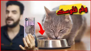 وجبة صحية ومشبعة للقطط بأقل التكاليف 