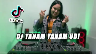 Download DJ TANAM TANAM UBI TIKTOK TERBARU 2021 FULL BASS | DJ TING TING TANAM TANAM UBI x CRAZY FROG MP3