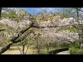 さよなら　オフコース　歌詞付き
