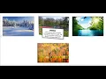3D-Card HTML CSS Vanilla js