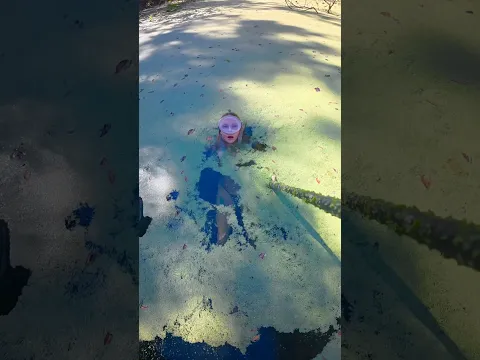 So greeeeen π #underwater #freediver #freediving #swamptok #swamp