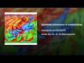 Quintetto pittoresco: II. Kaleidoskop