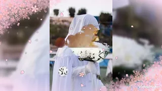 اناشيد اسلاميه للفرح يا عروسة واسمك غالى بدون موسيقى أناشيد 