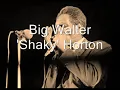 Big Walter Horton-Walter's Boogie