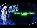 LIL NAAY - PERRITA HOY TE LO PELO (VIDEO LETRAS LYRICS) EL MORBO SE TE NOTA (NO OFICIAL)  HD 2026