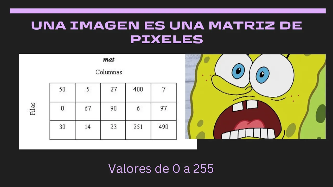 Las imagenes son... MATRICES????