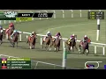 Tampa Bay Downs Live Stream