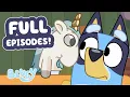 NEW Bluey Full Episode Compilation 50 MINUTES 8 FUN AT HOME FULL EPISODES Bluey