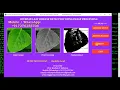 Soybean Plant Disease Identification Using Image Processing Python Project With Source Code