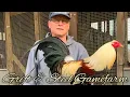 Hack Lauderdale Greys - GRIFT STEEL FARM
