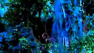  o tchan tchan na selva