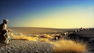 professor the lonely shepherd