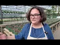 Smile Farms at IGHL on News 12 Long Island Garden Guide to cool season veggies with Alex Calamia